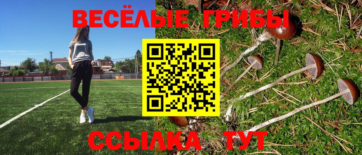Галлюциногенные грибы ЛСД  Вход с VPN  Петропавловск-Камчатский  Галлюциногенные грибы Cubensis 